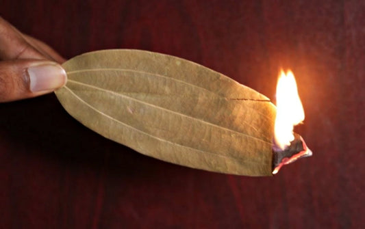 Spalanie liścia laurowego: Naturalny sposób na aromatyzację wnętrz